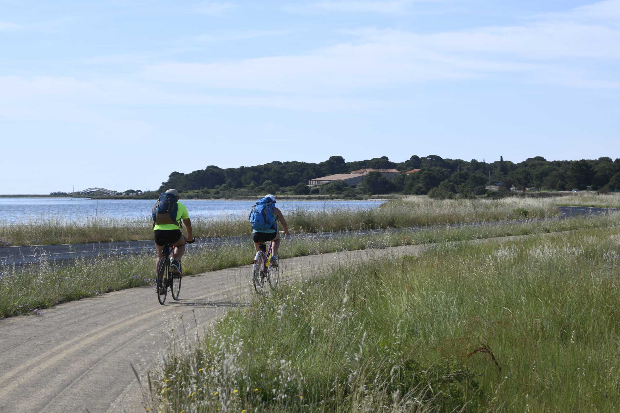 Sortie à vélo au bord des étangs