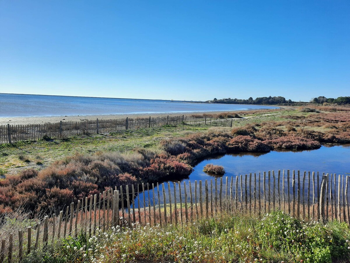 La réserve naturelle de la Conque en hiver.