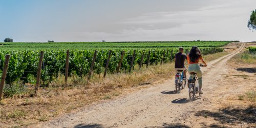 Couple_a_velo--33622-1200px