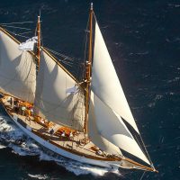 DonDuVentPhoto libre