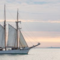 La Goëlette Etoile navigue dans la grande rade du port de Cherbourg le jeudi 5 août 2021.

La Goëlette ÉTOILE sera accessible au public les 7 et 8 août 2021 à l'occasion de la Rolex Fastnet Race.
Du 8 août au 14 août 2021, Cherbourg-en-Cotentin accueille l’arrivée de la mythique Rolex Fastnet  Race. C’est la course au large la plus courue au monde.  Pendant une semaine, la ville accueillera les courageux navigateurs, plus de 3000, qui auront navigué dans les eaux tumultueuses de la Manche, après avoir franchi l’incontournable Fastnet Rock et dompté les courants du Raz Blanchard…